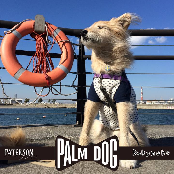 4de98a55 f68d 479a bae4 b2599a67bdef