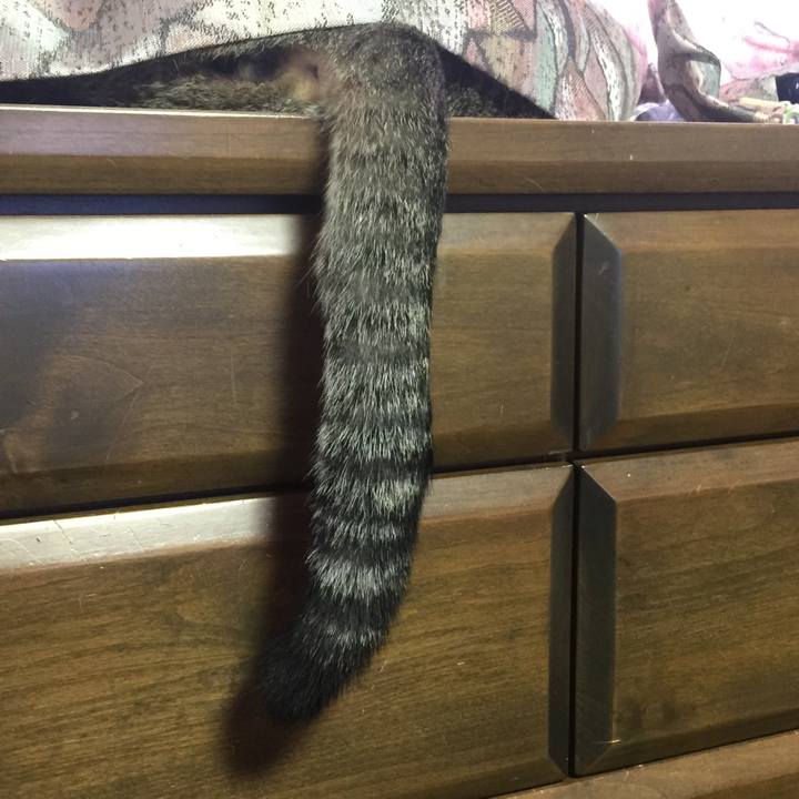 4dea49b5 e3ab 433d a308 37951f52a419