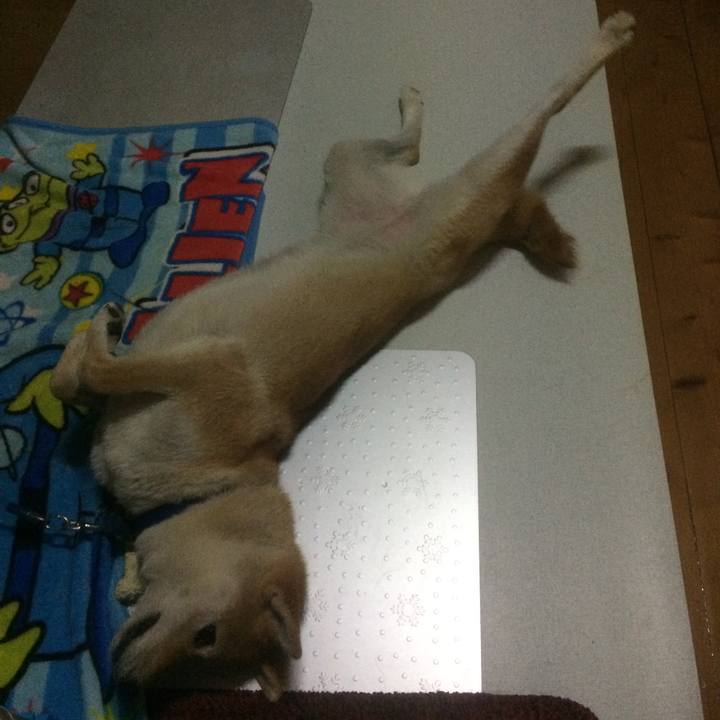 4deac853 64ed 4586 adae a2c5dc8a2dbd