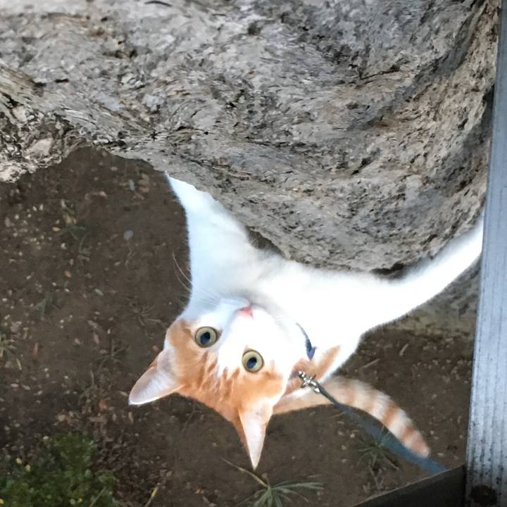 4deae399 f1be 4ec9 af75 52a11e69a5a0