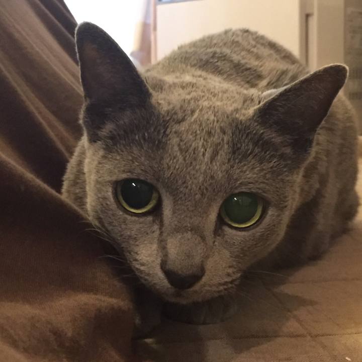 4dec88db f34e 44b7 89ff d36de97a028a