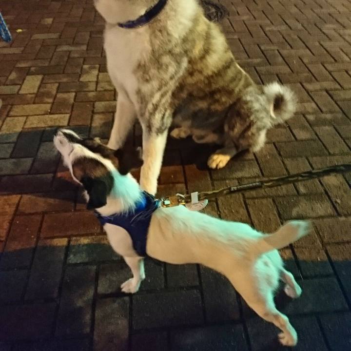 4dec9eb4 c073 4f24 991c fb1f01a3f563