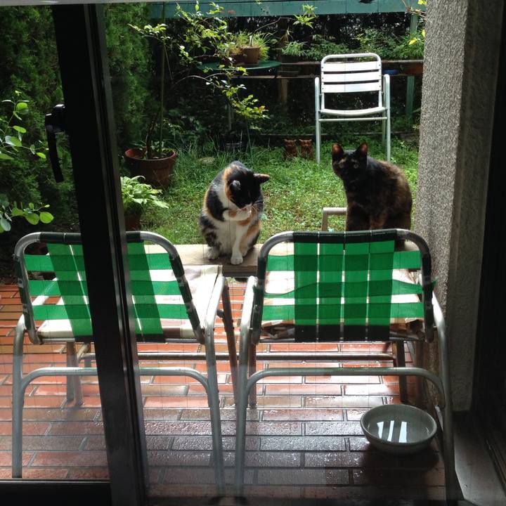 4deca4f8 d4b6 4b54 92ef 2c59deb96719