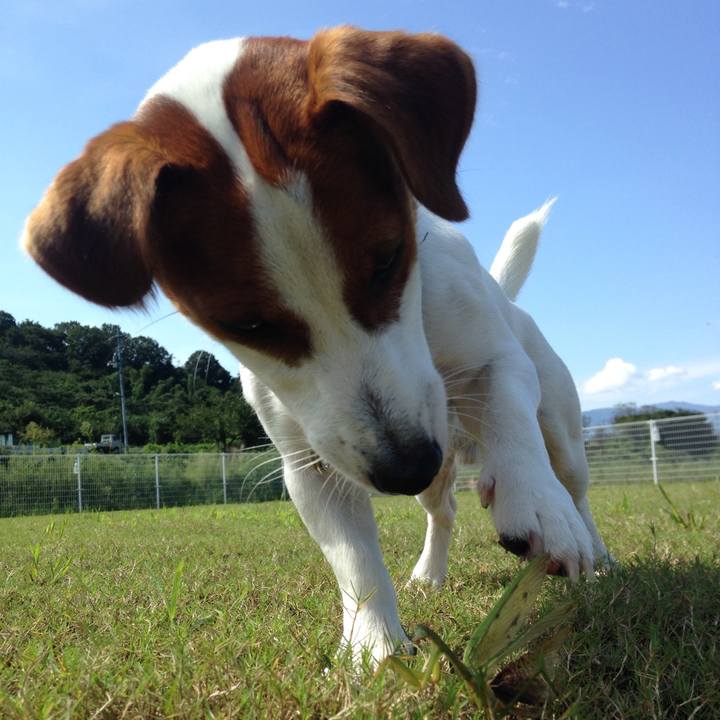 4dedcf13 c3ec 4469 87bd e2247d5c452c