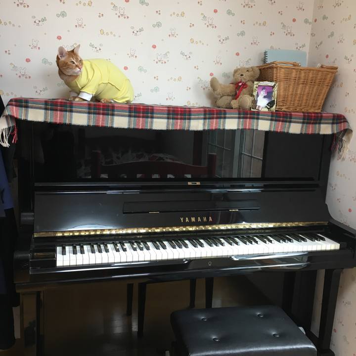 4dee610f 4649 461a b237 e2aaa1cfbd60