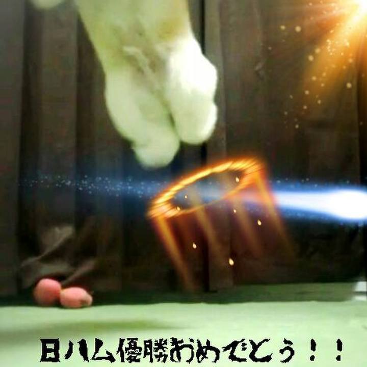 4deea790 6324 4249 a8a8 bfbe50f720e1