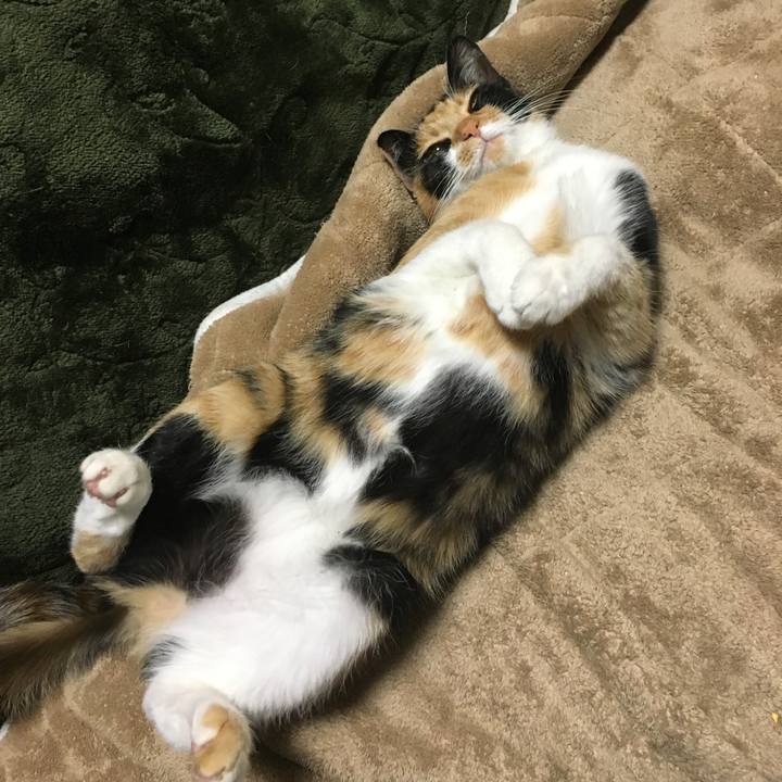 4def1bd6 07a8 4ce7 a256 8011735e0896