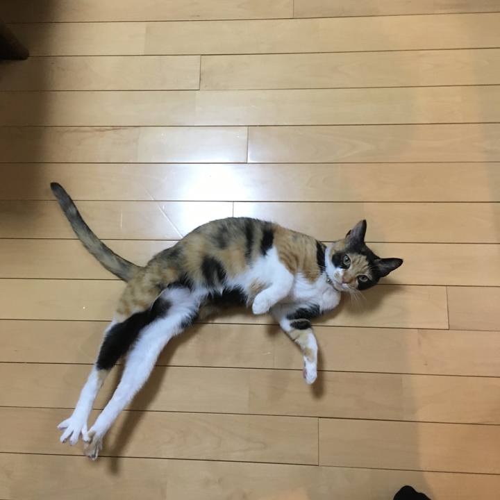 4def709c 8f3e 47bd b1ca 811f83aa3302