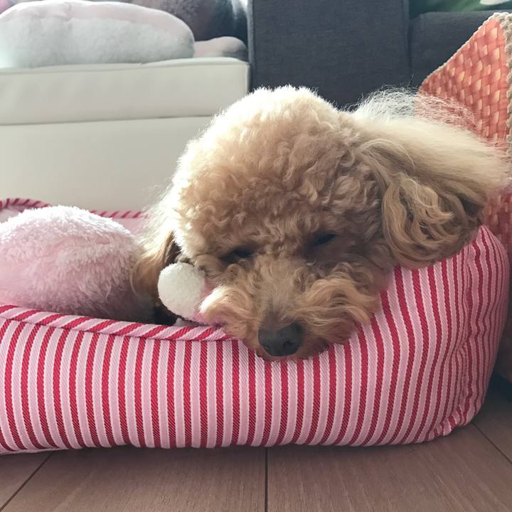 4defed5e 3271 4a6c 8216 3e83f362c39d