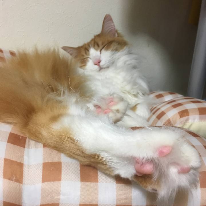 4df09bb0 eca1 49bf b368 b528b6cd0ddc