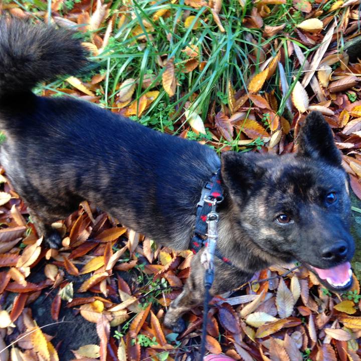 4df0cab8 5fd8 488e 8836 bf7b34660d9e