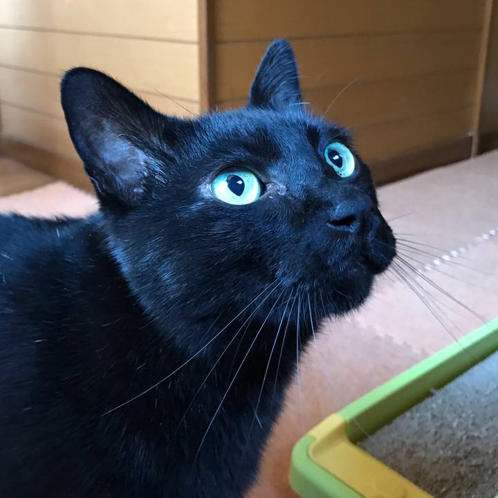 4df1b176 20ce 4797 ac6b 505ce87e91a6