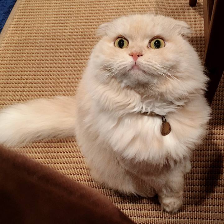 4df1fa35 6cc5 4dbf 8a1b 816753cad304