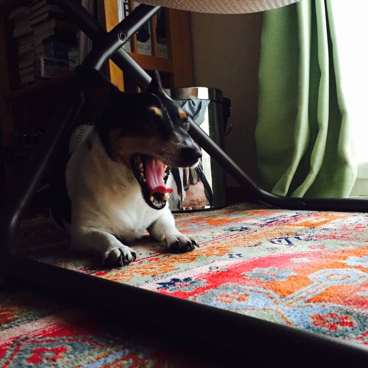 4df21fd4 b2e1 4f32 90c5 44dceb0bcbf4