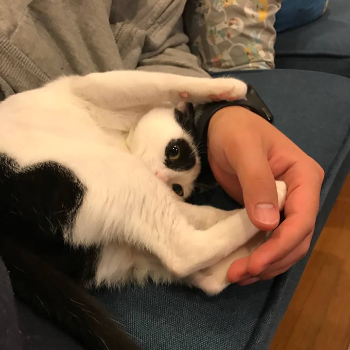 4df23fa0 d629 4e90 b13e 8bff0525ca45