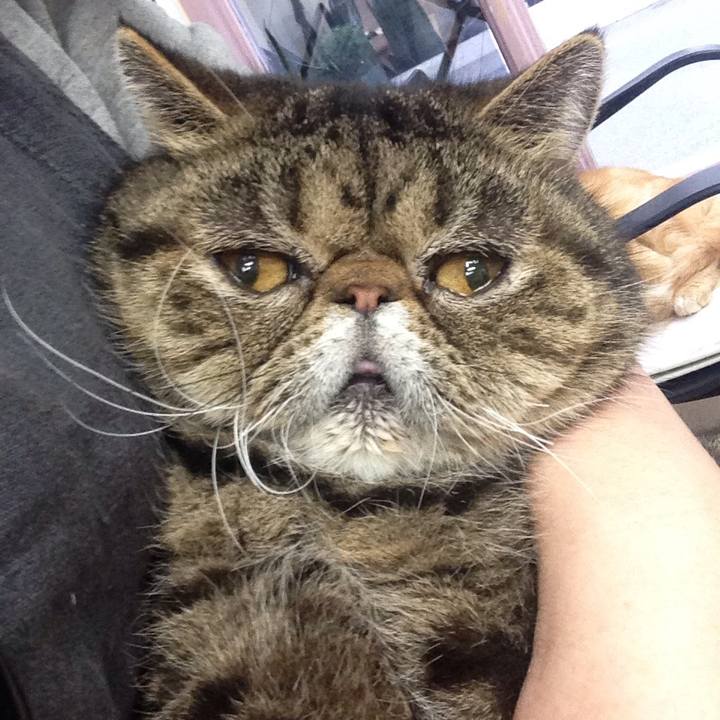 4df2c99a e5d0 41ad 9417 6827dd113d2a