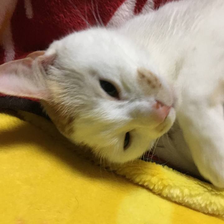 4df33b91 494f 43f8 a128 cb318acb76e2