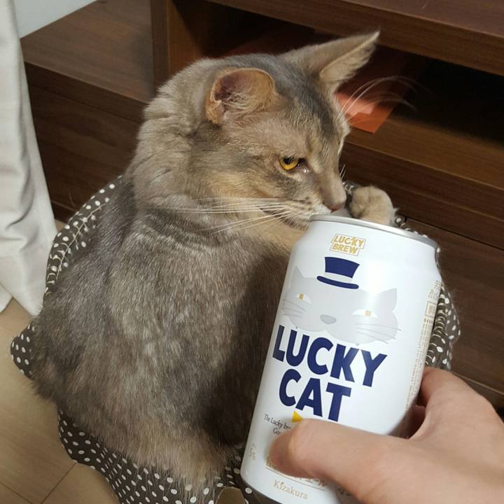 4df3a412 36d5 441f 80c7 4a940421881e