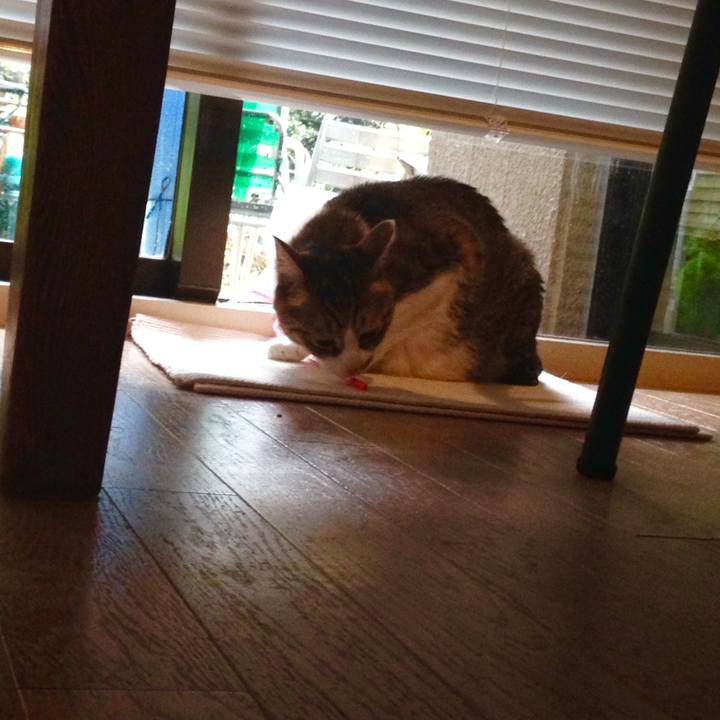 4df3ceb4 ad45 404d bf87 e53447b61322