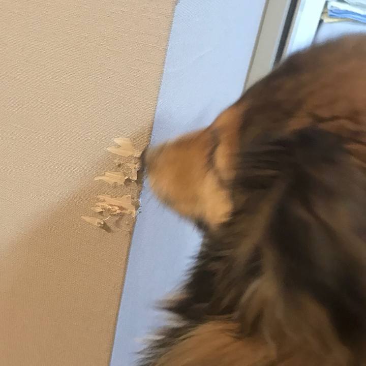 4df462ae 40d7 424e 80be 55512feb1e5e