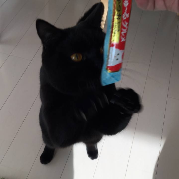 4df46b88 9583 4dfb b8f5 34641ff2684c