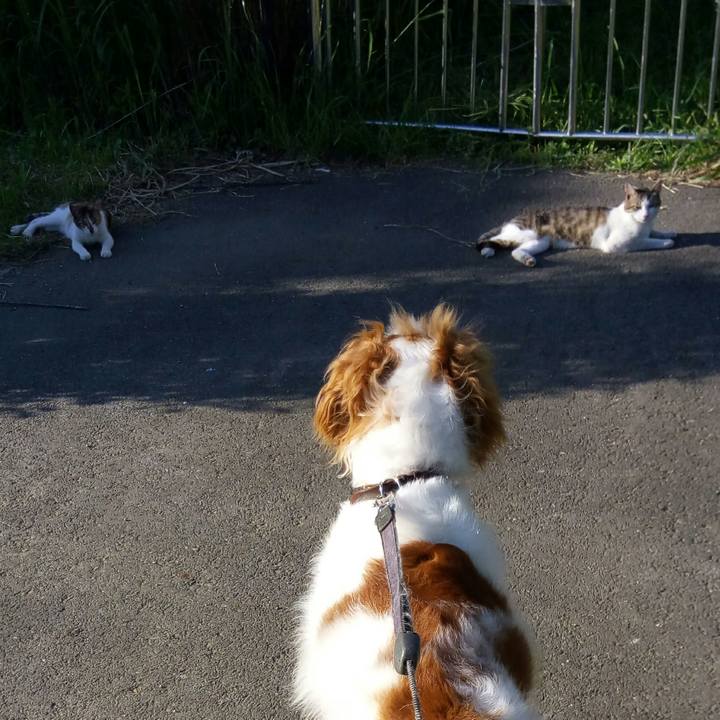 4df4c17e 10b4 4376 af46 9a026ca73762