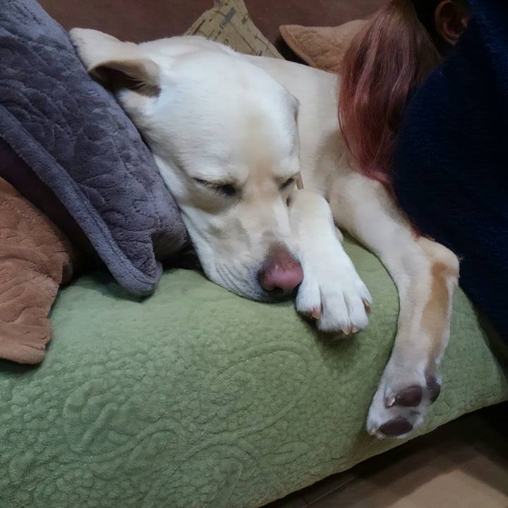 4df5a4ef 2d00 4ab8 9c00 6173202e7cb8