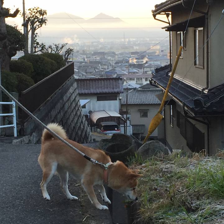 4df621b4 f884 4ab4 9bb2 e1ffb692925c