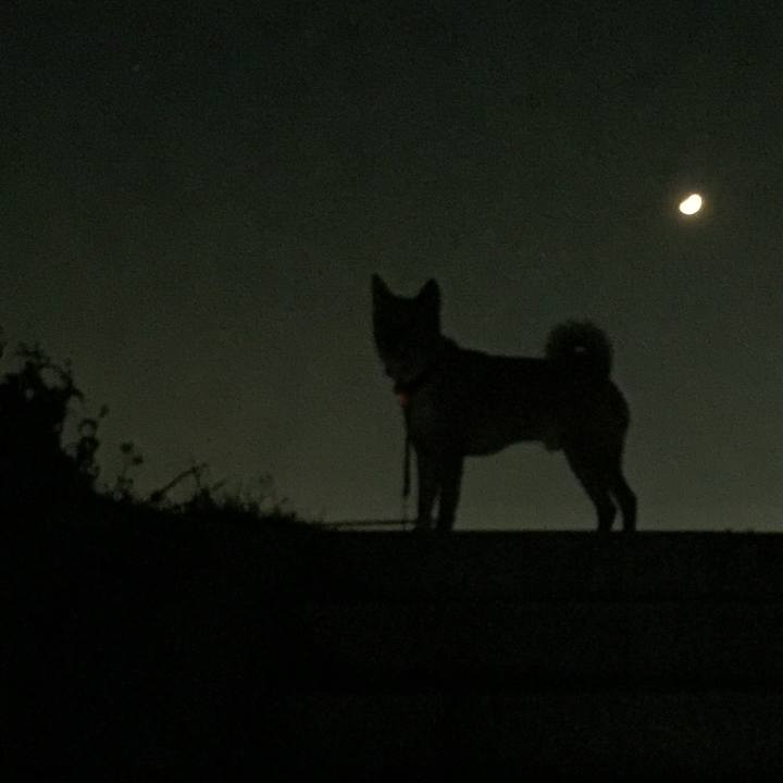 4df678ec 8131 4afe 9d09 b53c116e9d35