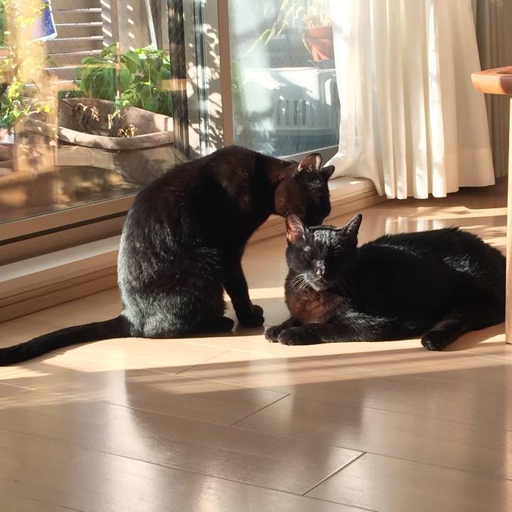 4df749a1 bce2 4acd b17d f7de71b012c3