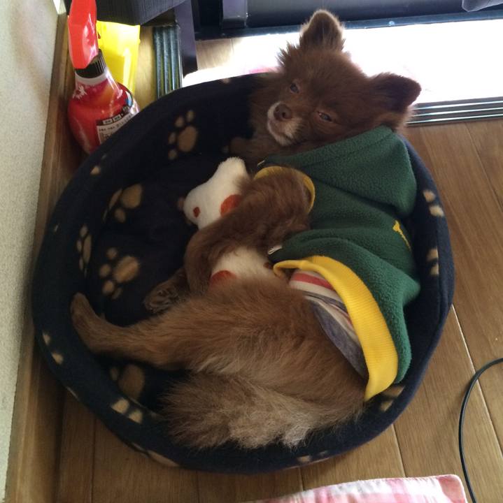 4df7b83d df83 4595 8cf0 be9cfdb52381