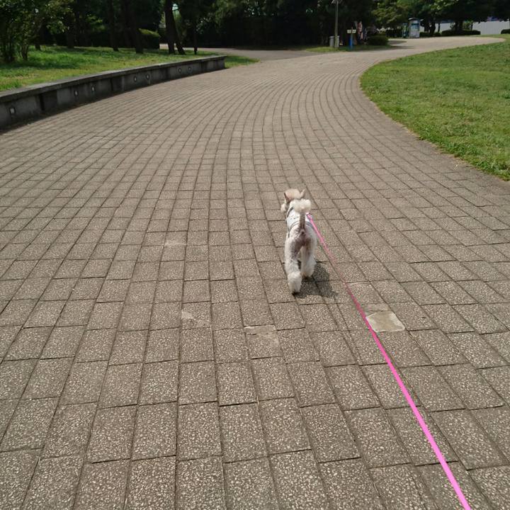 4df7ba5d 899d 4f6a affa 63be4bd9d8b1