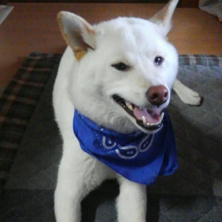 4df7fd80 8adc 4e8f 898a 6a433d3276b1