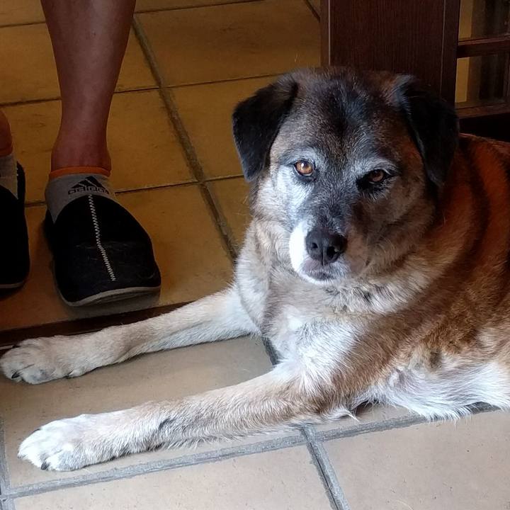 4df81abd a226 42ce b29b ad4ee380e495