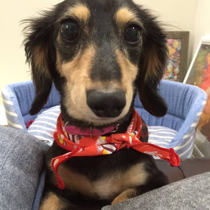 4df8b710 76ad 41c5 a9d2 62923dceb3d6