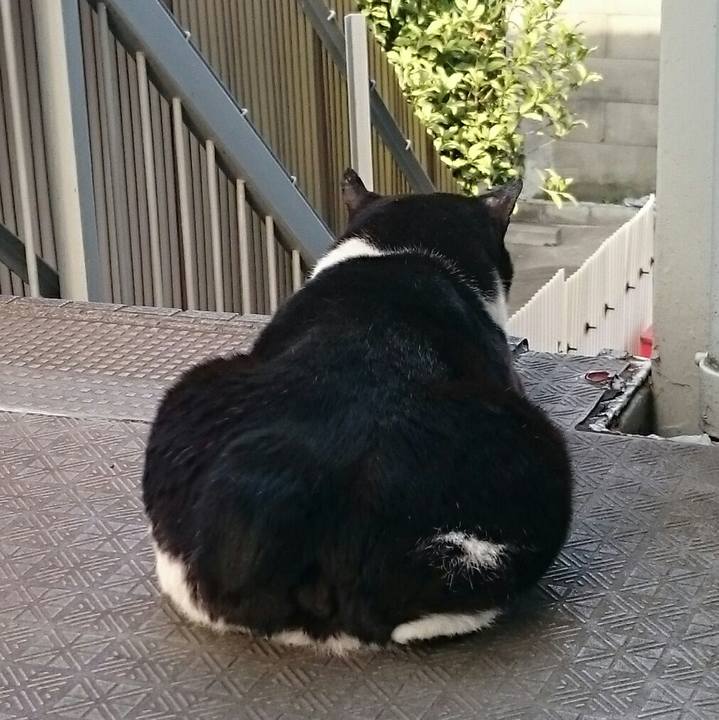 4df8ee9f 892c 480f a537 36b7473fef44