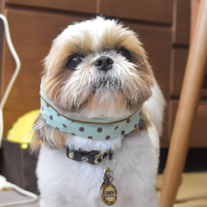 4df92b06 d640 4cd2 83e8 463a1d759da2