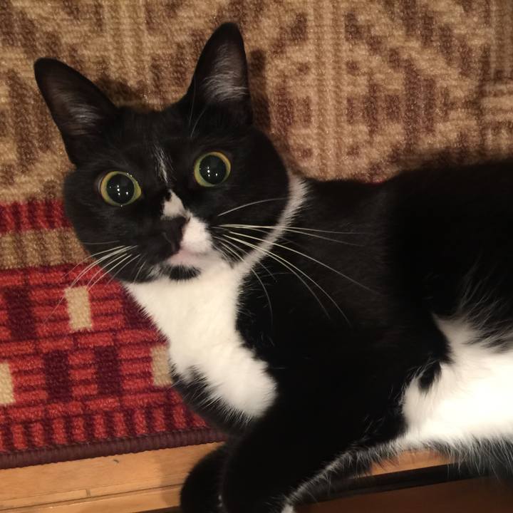 4df985eb 6b02 42b7 a0c4 76a964f4eafc