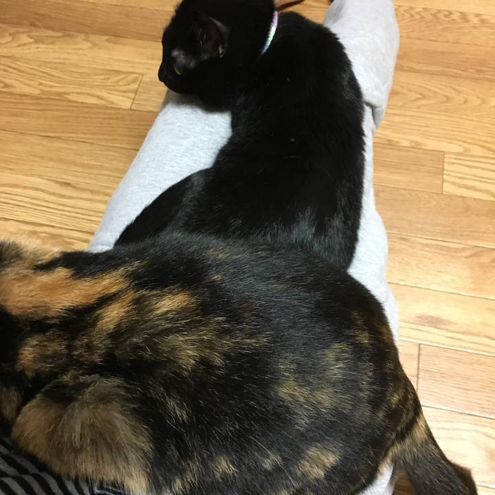 4df9b58b 14cc 4910 879d 79781a16056d