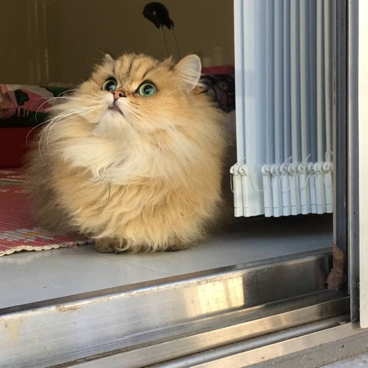 4df9c200 7a90 4255 825d db9e6cea9ef3