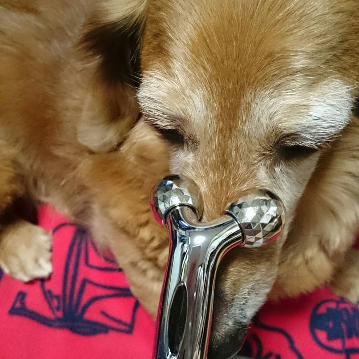 4dfa5497 1352 43ba 82f2 8cc331a808a7