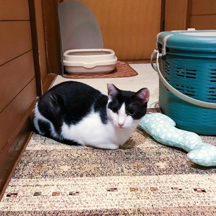 4dfa9b09 bb1a 4089 ae4c e01da1e01459