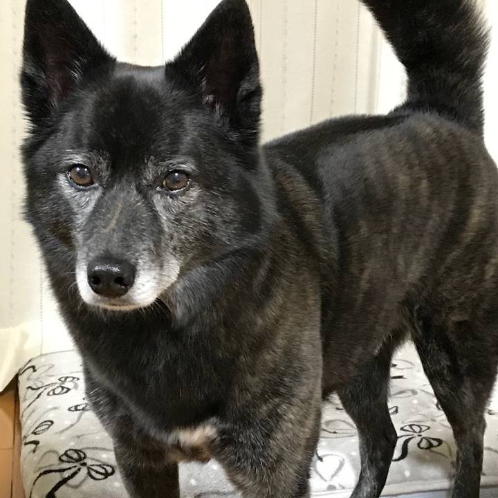 4dfaaabe 2705 44d7 83ce f785e2a06a23