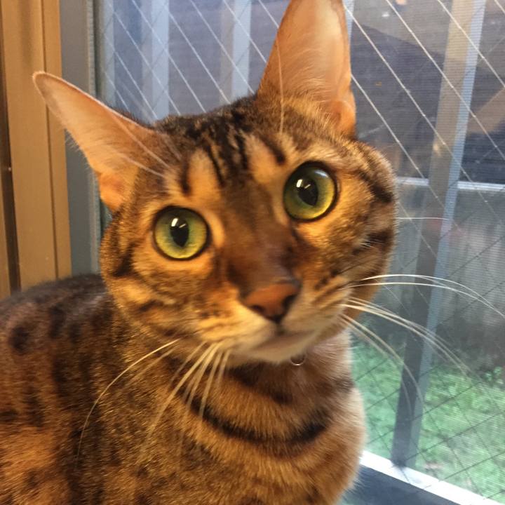 4dfb809c 4c6a 4d63 8531 df3b42795ae2