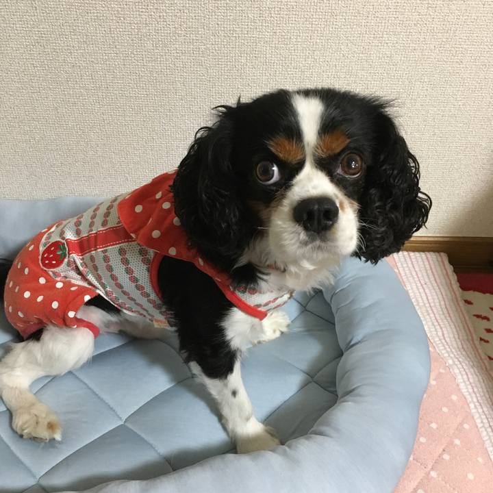 4dfbac3f bb67 4a1b a127 250bde797b87