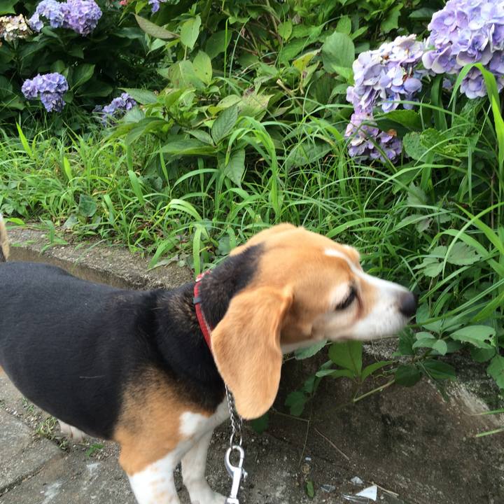 4dfcee36 9071 4f05 a408 49443a801800