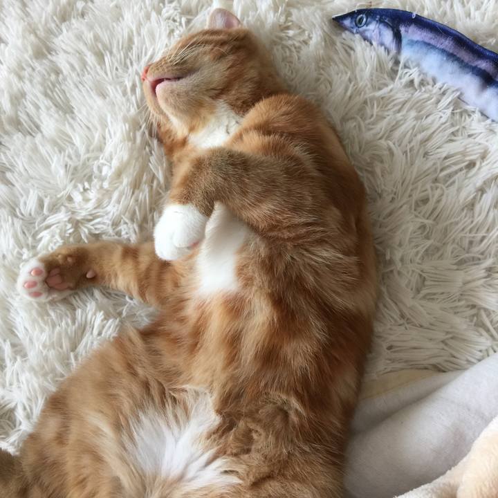 4dfd4dd1 f992 46c7 af79 de504ea084e2