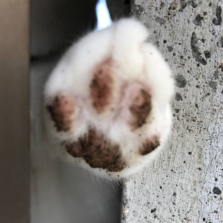 4dfee1b7 b20f 4fc3 a53d 1507d605dd18