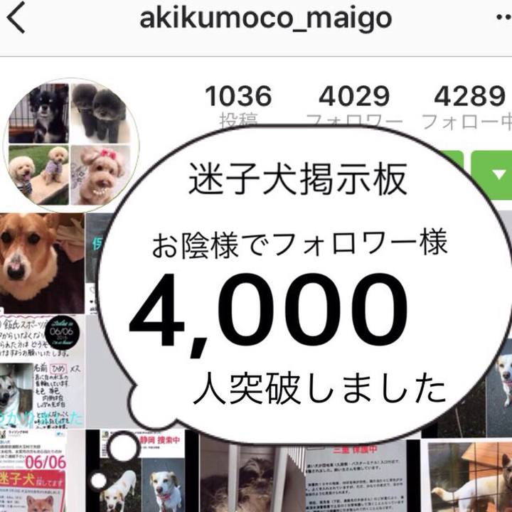 4dff7f41 c752 4404 ac5c 5979d6b30188