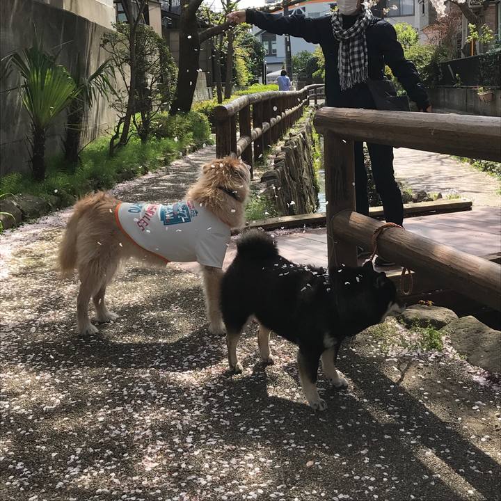 4dff8491 cfc6 4346 8b64 5f83acd3023f